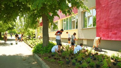 120 квадратних метрів зеленої зони: на території вінницького ліцею №20 висаджують квіти 120 квадратних метрів зеленої зони: на території вінницького ліцею №20 висаджують квіти