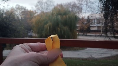 Рух "Жовта стрічка"