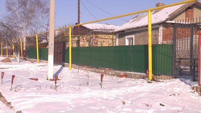 Нові випадки пташиного грипу зафіксовані на Миколаївщині