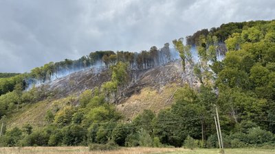 У селі Сасівка на Закарапатті ліквідовують тління від пожежі у лісі