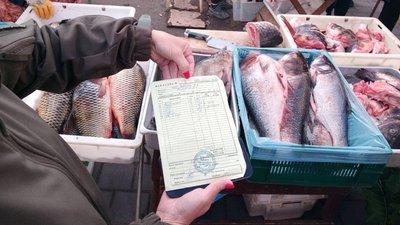 Майже 300 порушень рибальства зафіксували на Черкащині Майже 300 порушень рибальства зафіксували на Черкащині