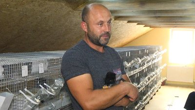 На міні-фермі живе три породи шиншил. Фото: Суспільне Поділля На міні-фермі живе три породи шиншил. Фото: Суспільне Поділля