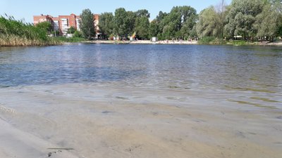 У річці біля двох пляжів Полтави виявили підвищений рівень кишкової палички: де саме