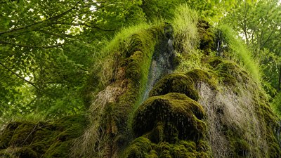 Малієвецький водоспад
