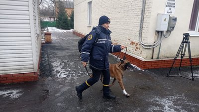 Кінологи Сумщини, які допомагали шукати людей під завалами багатоповерхівки, повернулися з Дніпра Кінологи Сумщини, які допомагали шукати людей під завалами багатоповерхівки, повернулися з Дніпра