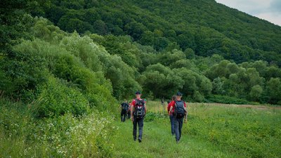 Третю добу тривають пошуки 73-річного закарпатця, який пішов по гриби