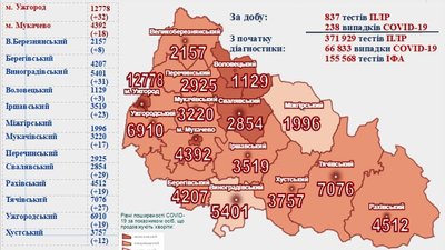 На Закарпатті за добу виявили 238 випадків COVID-19 На Закарпатті за добу виявили 238 випадків COVID-19