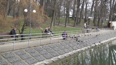 Лебеді