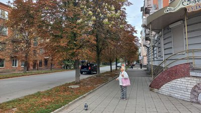 У Полтаві восени розквітли каштани: у чому причина та як це впливає на рослини У Полтаві восени розквітли каштани: у чому причина та як це впливає на рослини