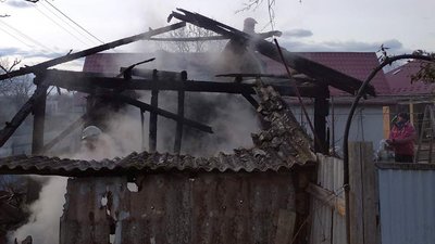 Внаслідок пожежі на Закарпатті загинули 3 свині