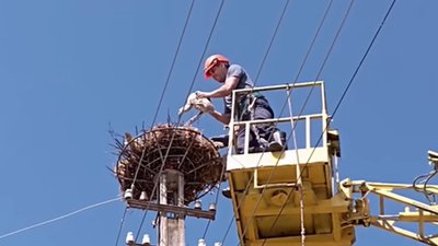 На Франківщині енергетики встановили нову платформу для гнізда бузьків