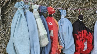 На Дніпропетровщині випустили на волю близько 600 червонокнижних кажанів На Дніпропетровщині випустили на волю близько 600 червонокнижних кажанів