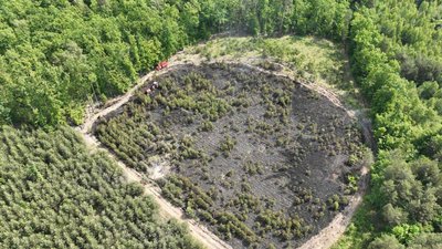 Згорів 1 га лісу після атаки "шахедів" 