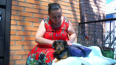 Родина для дволапого песика: історія вінницького Мицика Родина для дволапого песика: історія вінницького Мицика