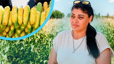 Кукурудза на Одещині, Альона Станкова Березівка
