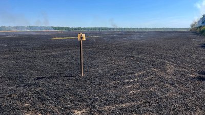 Горіли поля з пшеницею, комбайн і генератор — на Черкащині за добу сталися дев'ять пожеж Горіли поля з пшеницею, комбайн і генератор — на Черкащині за добу сталися дев'ять пожеж
