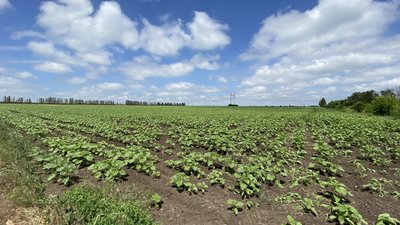 Робота аграріїв на Донеччині Робота аграріїв на Донеччині
