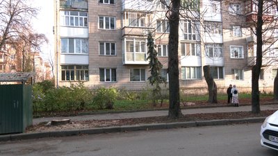 "Квітли та не були сухостоєм": у Рівному мешканці обурені вирубкою дерев біля їхнього будинку "Квітли та не були сухостоєм": у Рівному мешканці обурені вирубкою дерев біля їхнього будинку