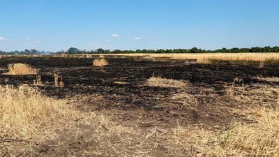 Російські військові обстріляли поле пшениці у Криворізькому районі