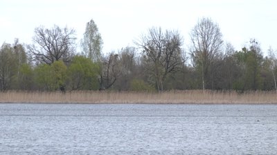 "Рибу ловимо, корівку тримаємо": життя у селі, що потрапило в зону радіаційного забруднення після аварії на ЧАЕС "Рибу ловимо, корівку тримаємо": життя у селі, що потрапило в зону радіаційного забруднення після аварії на ЧАЕС