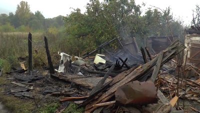 кияниця басівка