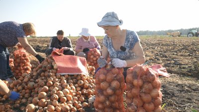 Переселенці на полях