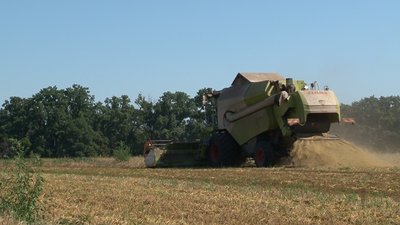 На Черкащині зібрали понад мільйон тонн зернових та зернобобових культур На Черкащині зібрали понад мільйон тонн зернових та зернобобових культур