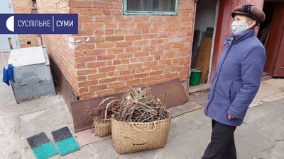 На Сумщині піднялася ціна на дрова: у чому причина та яка вартість На Сумщині піднялася ціна на дрова: у чому причина та яка вартість
