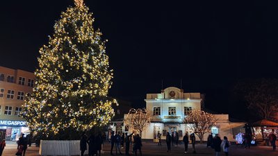 Вогні головної ялинки Ужгорода запалили на площі Театральній