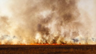 На Буковині у пожежі загинула 90-річна жінка. У неї на подвір'ї горіла суха трава