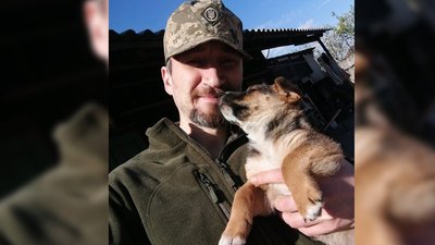 Бойовий медик Бойовий медик