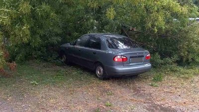 На Миколаївщині рятувальники допомагають ліквідовувати наслідки негоди На Миколаївщині рятувальники допомагають ліквідовувати наслідки негоди