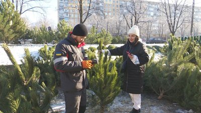 "Дуже важливо щоб була з чипом". У Кривому Розі розпочали продаж ялинок до новорічних свят "Дуже важливо щоб була з чипом". У Кривому Розі розпочали продаж ялинок до новорічних свят