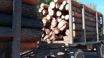 На Житомирщині затримали вантажівку та трактор зі зрубаним лісом без документів