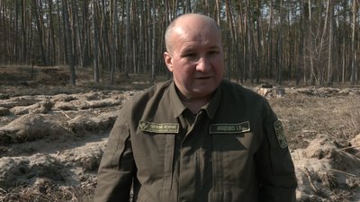 Черкаські лісівники висаджують сіянці Черкаські лісівники висаджують сіянці