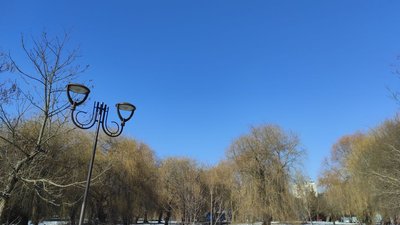 Сопільче, парк, березень