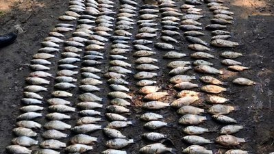 Жителю Хмельниччини загрожує покарання за незаконний вилов риби