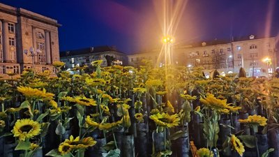 365 гільз, з яких проростають соняхи: у Черкасах встановили тематичну інсталяцію 365 гільз, з яких проростають соняхи: у Черкасах встановили тематичну інсталяцію