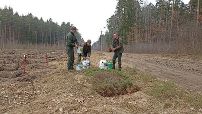 На Житомирщині прикордонники та школярі садили ліс На Житомирщині прикордонники та школярі садили ліс