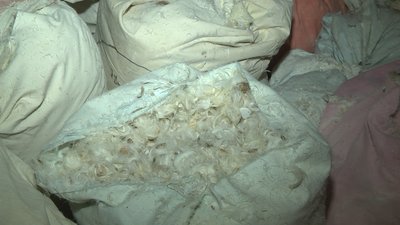 На Волині невідомі розгромили дитячій табір На Волині невідомі розгромили дитячій табір