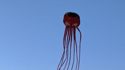"Одне небо один світ": у Миколаєві закрили сезон повітряних зміїв "Одне небо один світ": у Миколаєві закрили сезон повітряних зміїв