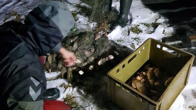 На Житомирщині затримали браконьєрів з 40 кілограмами риби На Житомирщині затримали браконьєрів з 40 кілограмами риби