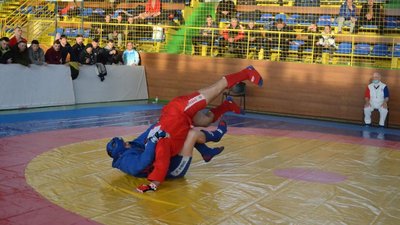 Волиняни вибороли п'ять медалей на чемпіонаті України з самбо