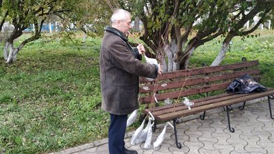 У садибі Лесі Українки на Волині висадили п'ять нових груш з гілок старої У садибі Лесі Українки на Волині висадили п'ять нових груш з гілок старої