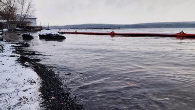 Забруднення Ладижинського водосховища: чи є загроза для риби та екосистеми