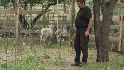 Село без магазину і доріг: як виживає Полісся Село без магазину і доріг: як виживає Полісся