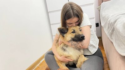 Софія Іваневич з Альфою Софія Іваневич з Альфою
