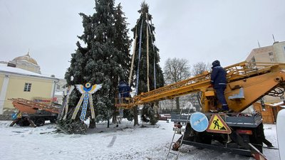 Янголи та різдвяні зірки: у Луцьку комунальники почали прикрашати головні ялинки міста