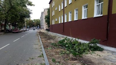 За спиляні липи на Гончій підрядник заплатив в бюджет Чернігова майже 146 тисяч гривень