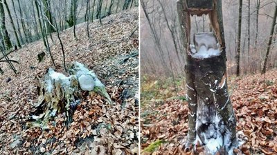 В лісомисливських господарствах Закарпаття розклали солонці для диких тварин В лісомисливських господарствах Закарпаття розклали солонці для диких тварин